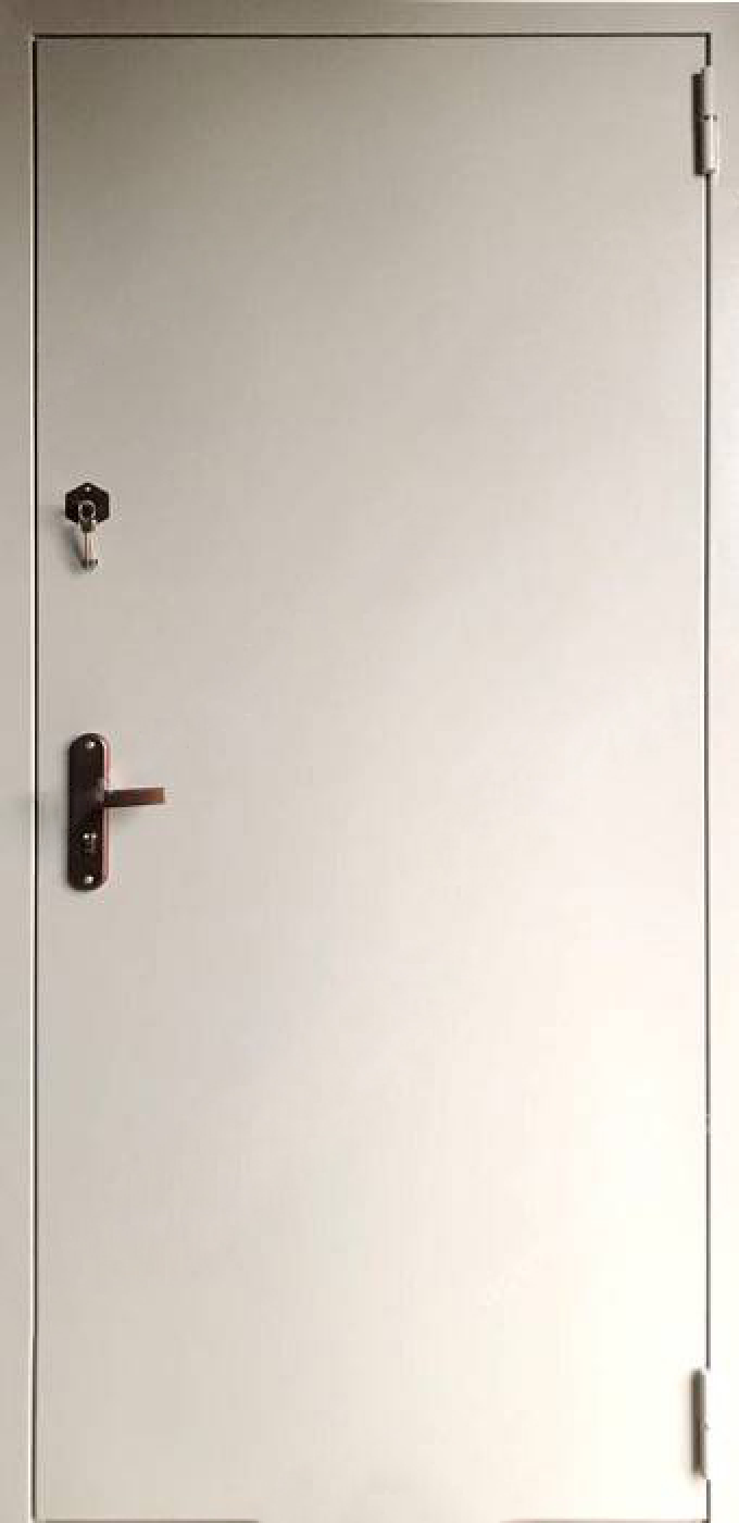 Дверь техническая металлическая однопольная глухая (Тип ДТМ-01)