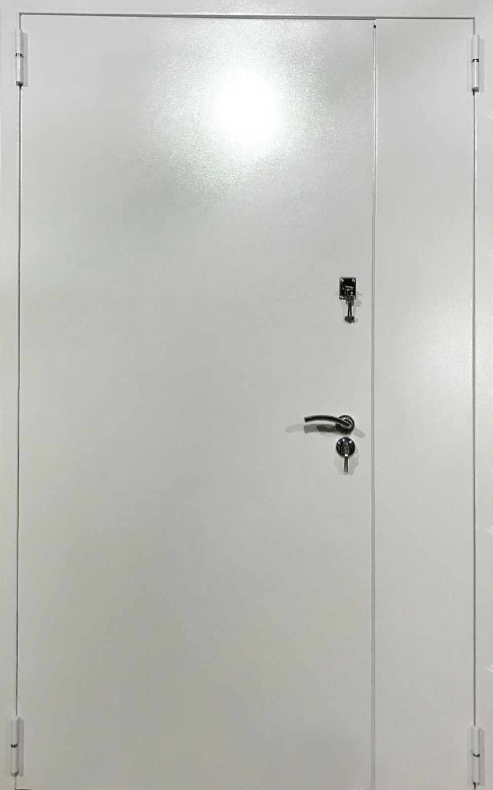 Дверь техническая металлическая двупольная (полуторная) глухая (Тип ДТМ-02)